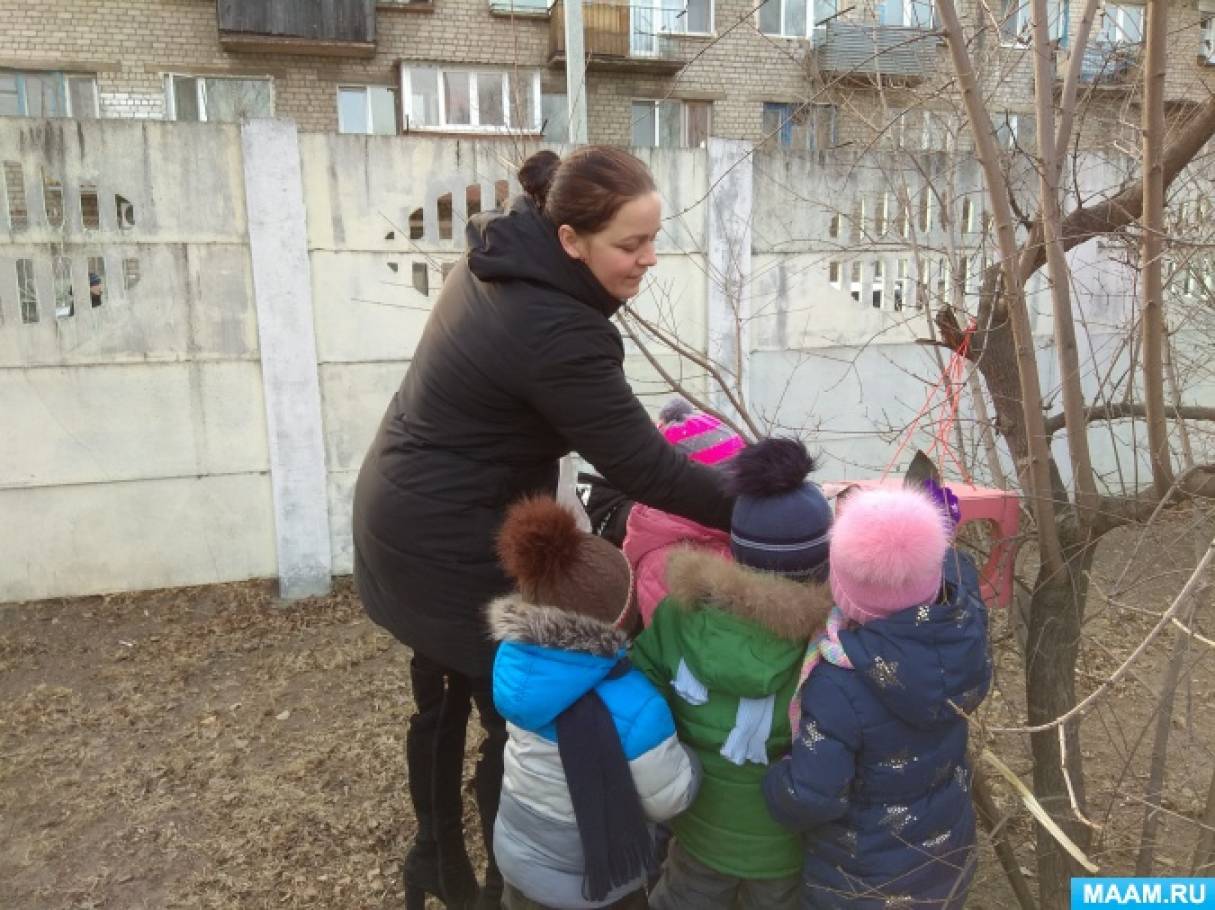 Конспект беседы во второй младшей группе «Зимующие птицы» Фото Конспект беседы во второй младшей группе «Зимующие птицы»