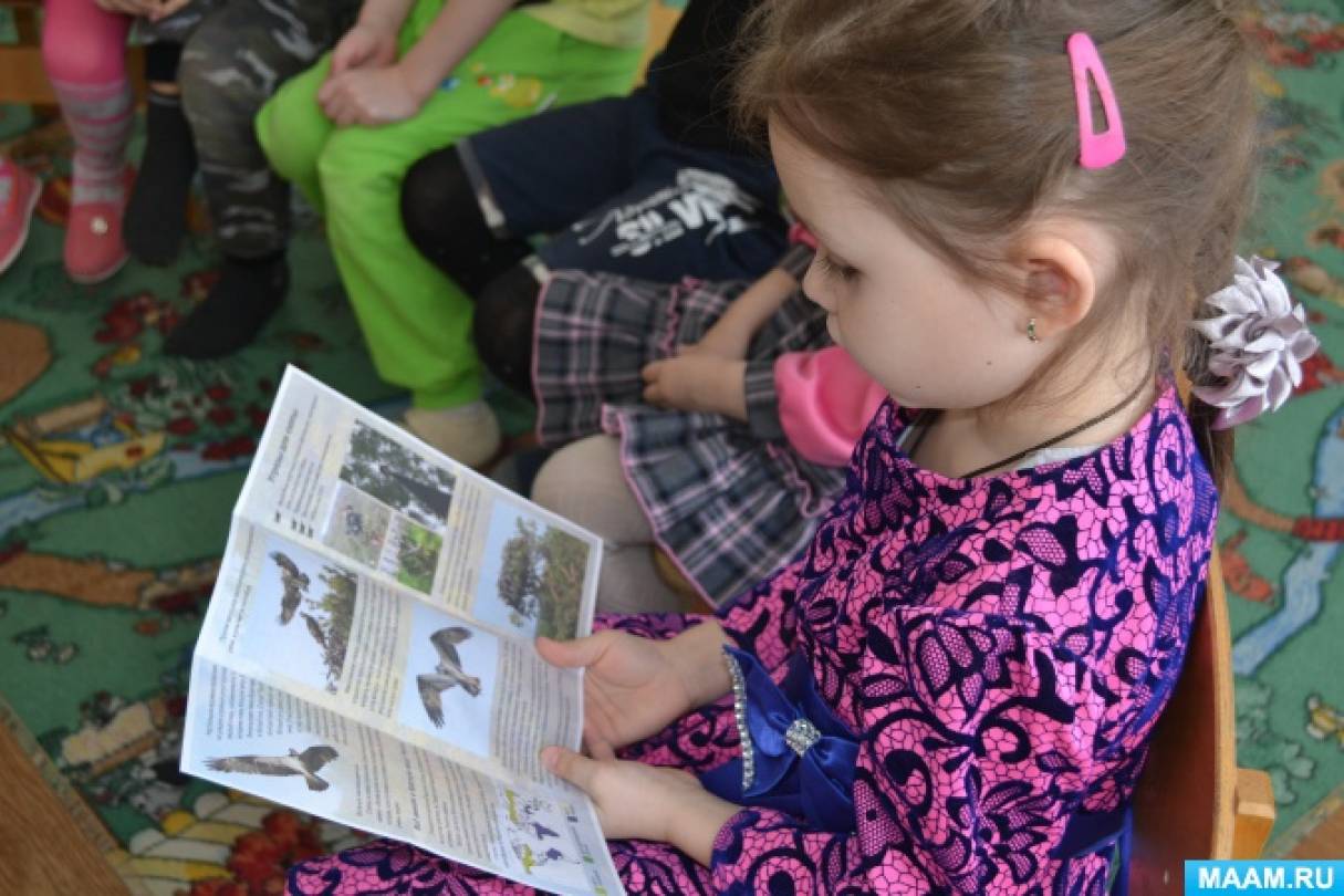 Смотреть фотографию №4 Фото №4 У нас в группе есть специальный альбом в котором собраны фотографии птиц которых выбирали с года
