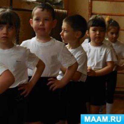 Спортивное развлечение ко Дню Защитников Отечества Цель: совершенствовать двигательные навыки и умения. Возраст 5–6 лет. Фото Спортивное развлечение ко Дню Защитников Отечества Цель: совершенствовать двигательные навыки и умения. Возраст 5–6 лет.