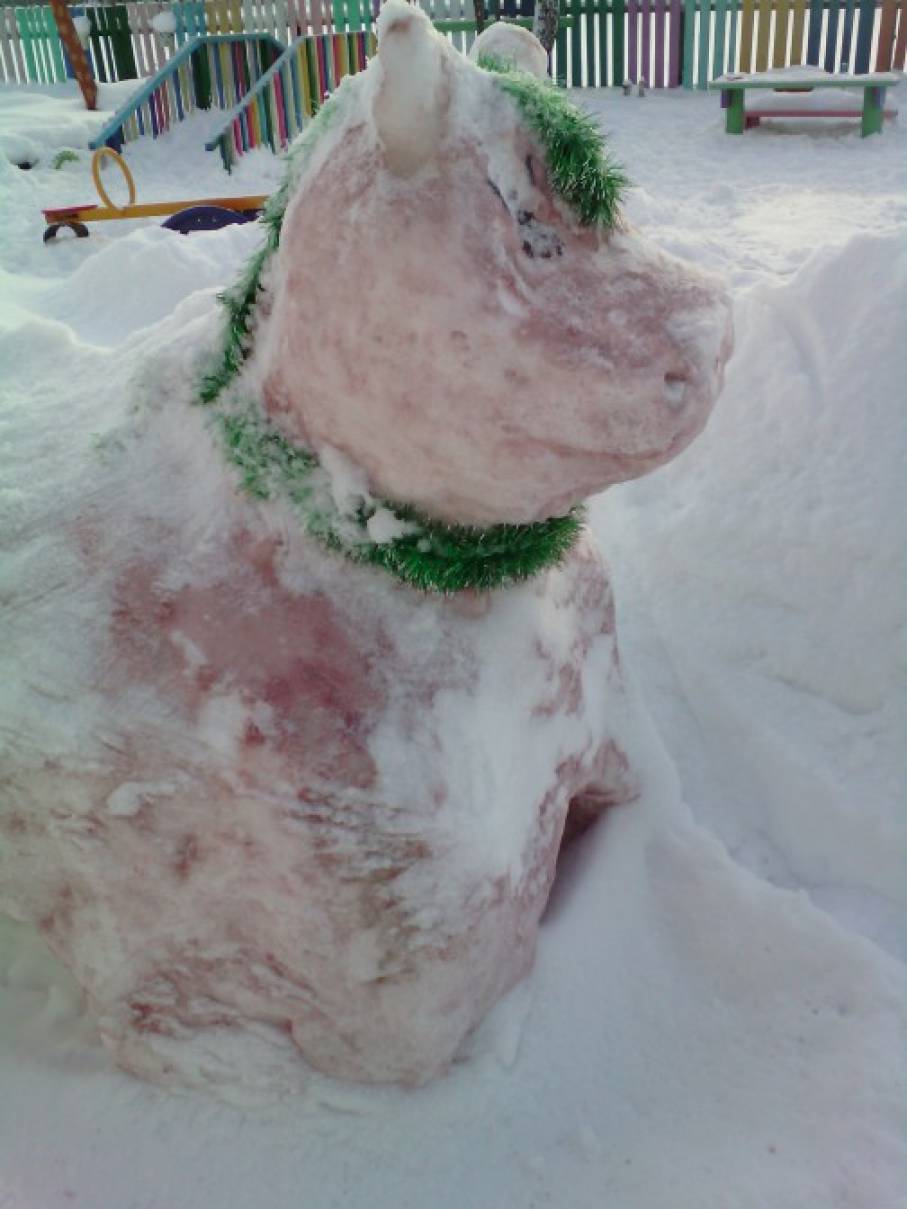 Фото Лошади снегу, более 99 качественных бесплатных стоковых фото