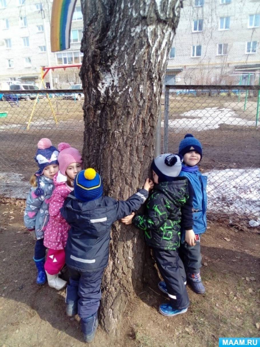 Консультация «Что такое дендротерапия?» Фото Консультация «Что такое дендротерапия?»