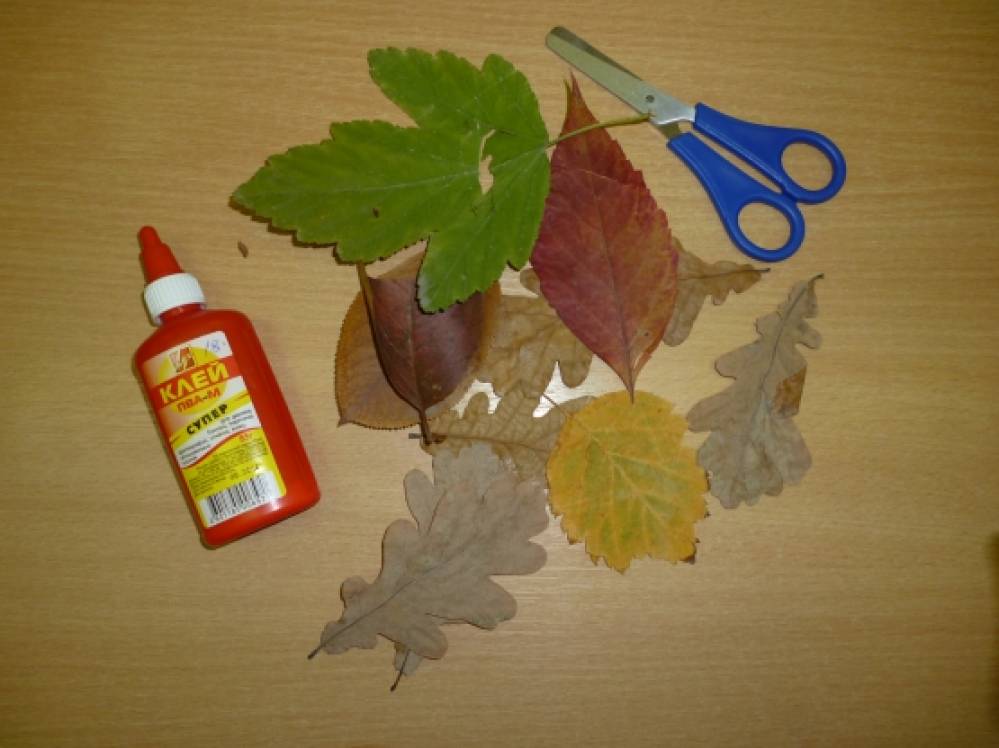 Приклеенный лист. На клей приклеить листья деревьев. Приклеить листья на бумагу. На клей приклеить листья деревьев. Клей для лизуна.