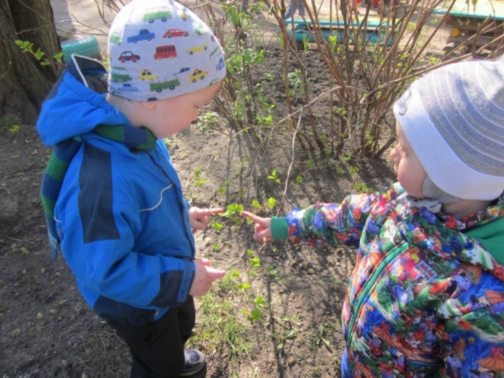 Прогулка по весеннему лесу младшая группа. Наблюдение детей в природе. Дети наблюдают за природой. Дети на прогулке весной. Наблюдение с детьми на прогулке.