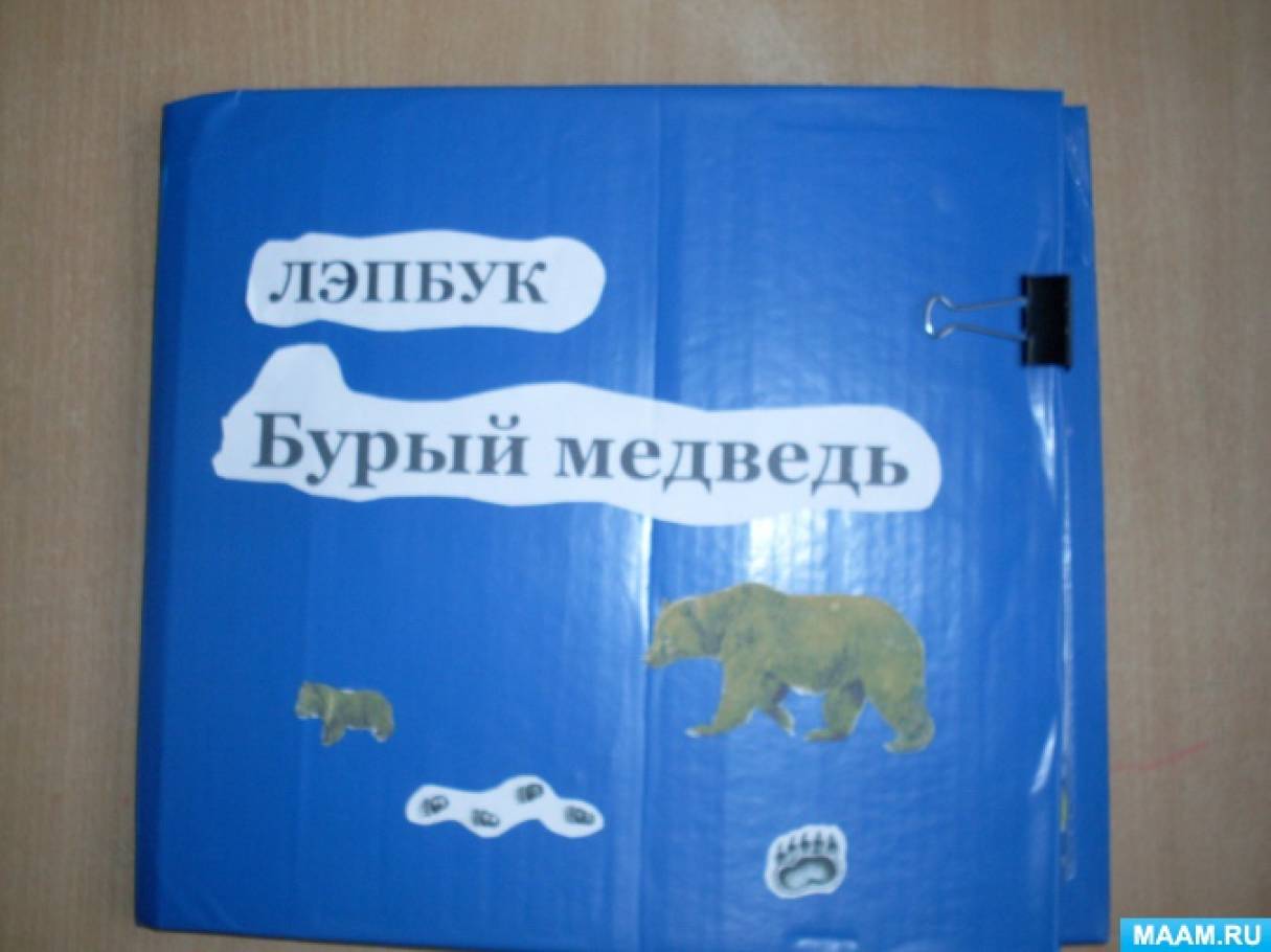 Лэпбук «Бурый медведь». Фото Лэпбук «Бурый медведь».