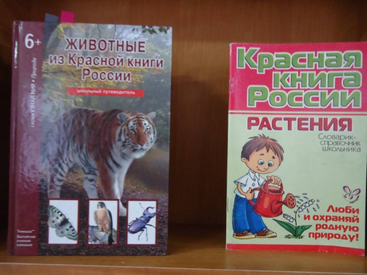 Нод Знакомство С Красной Книгой