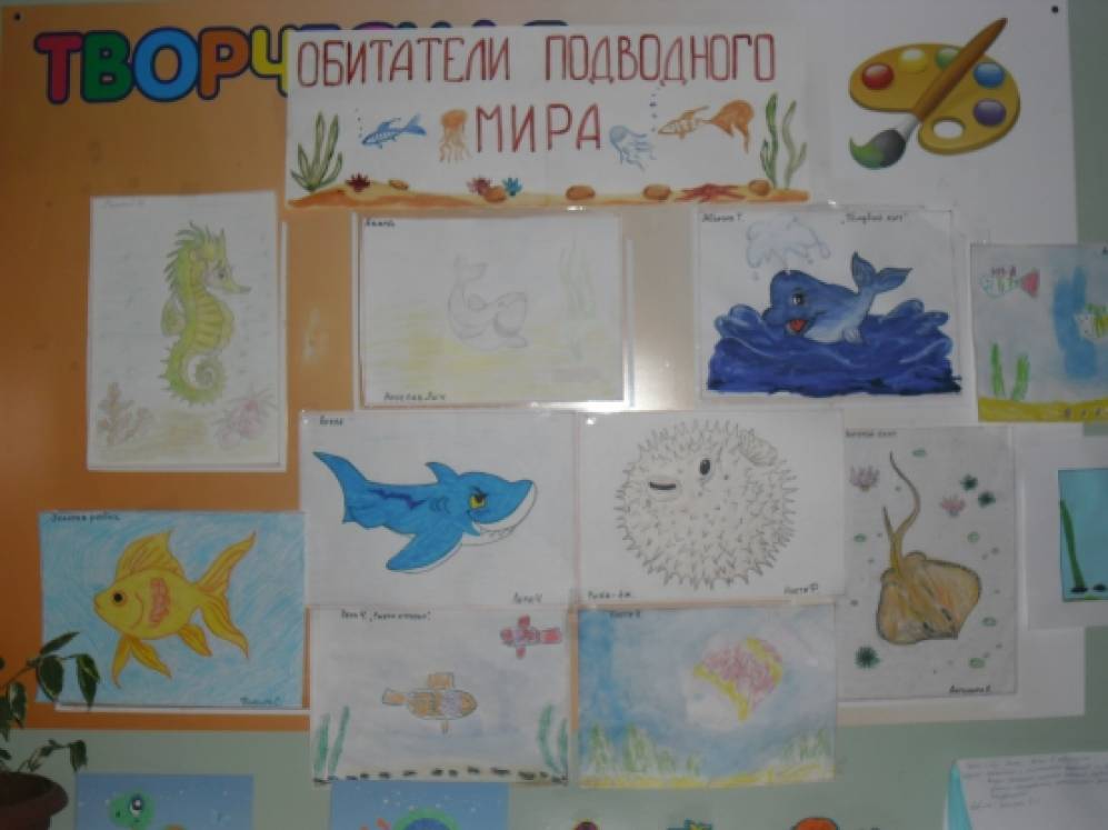 Проект море в подготовительной группе