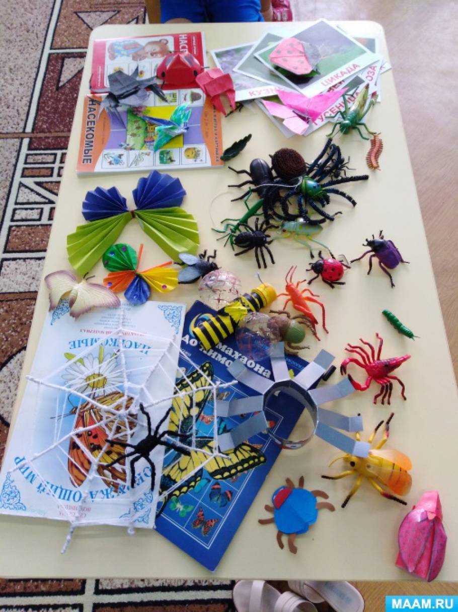 Неделя насекомые младшая группа. Проект про насекомых в детском саду. Выставка насекомые в детском саду. Проект в садик насекомые. Проект мир насекомых в средней группе.
