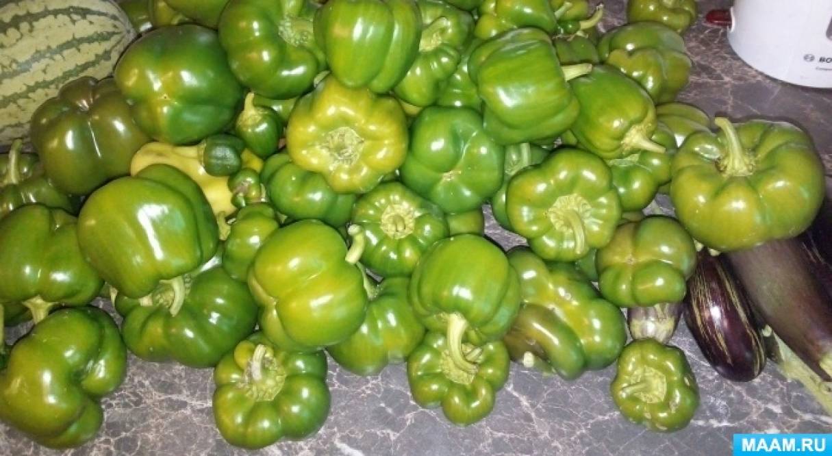 Что нам осень принесла планирование. Смотреть фото Что нам осень принесла планирование. Смотреть картинку Что нам осень принесла планирование. Картинка про Что нам осень принесла планирование. Фото Что нам осень принесла планирование Что нам осень принесла планирование. Смотреть фото Что нам осень принесла планирование. Смотреть картинку Что нам осень принесла планирование. Картинка про Что нам осень принесла планирование. Фото Что нам осень принесла планирование