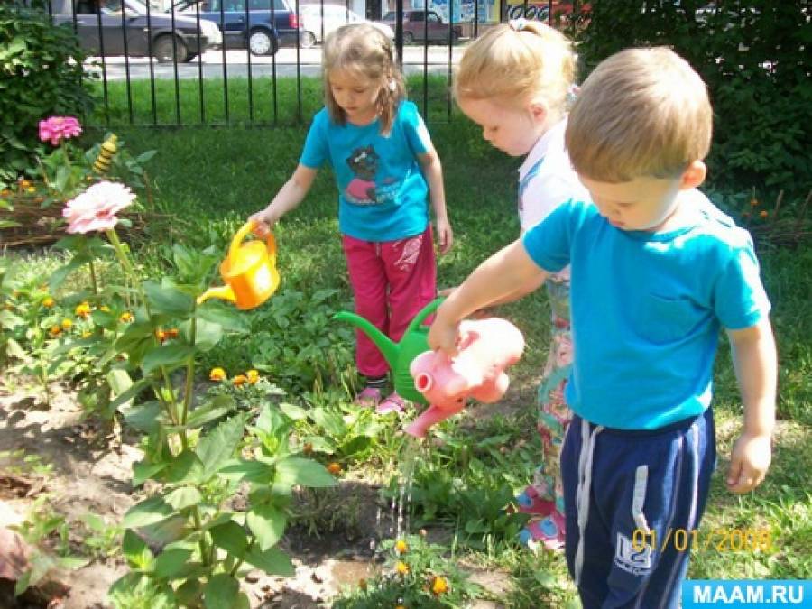 Растения в ясельной группе. Труд детей на участке. Поливаем клумбы в ДОУ. Труд в детском саду. Дети поливают цветы в детском саду.