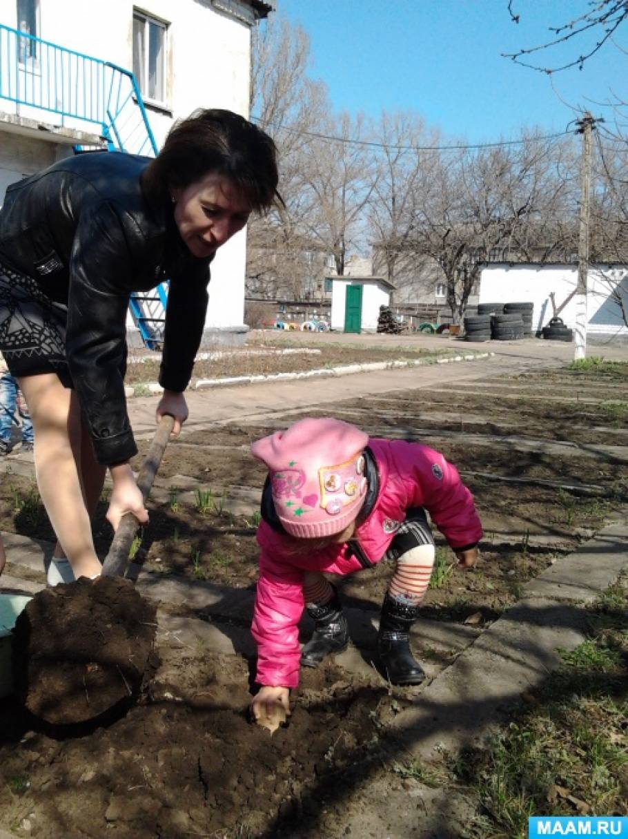 Фото «Мой огород»