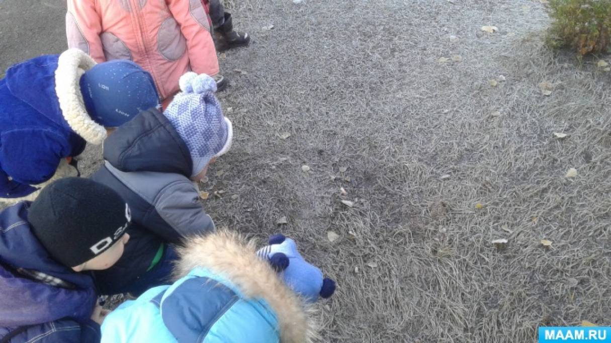 Смотреть фотографию №4 Фото №4 Публикация Наблюдение осенью за объектами природы в группе раннего возраста размещена в разделах Младшая группа Осенние прогулки и наблюдения Осень