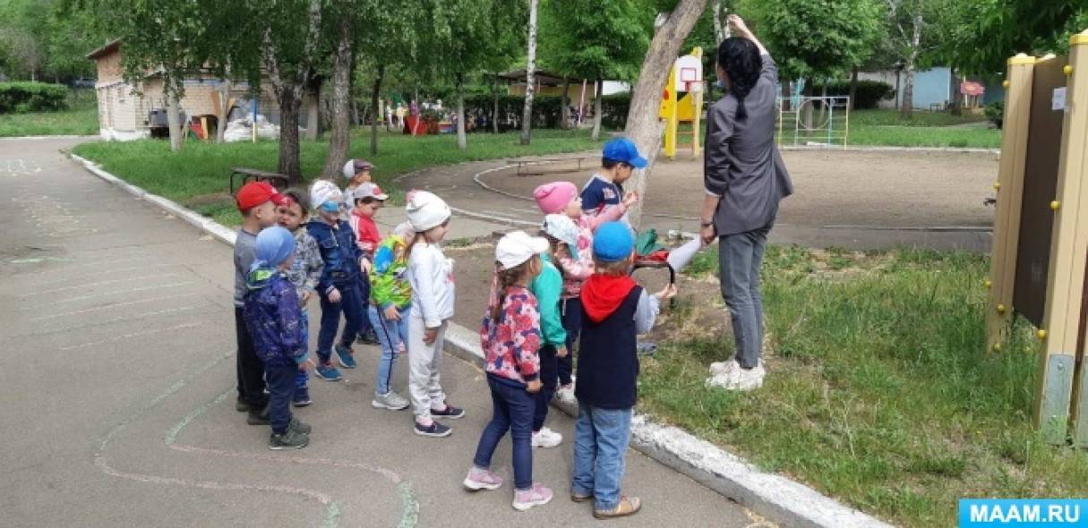 Экологическая тропа «Путешествие в мир природы»
