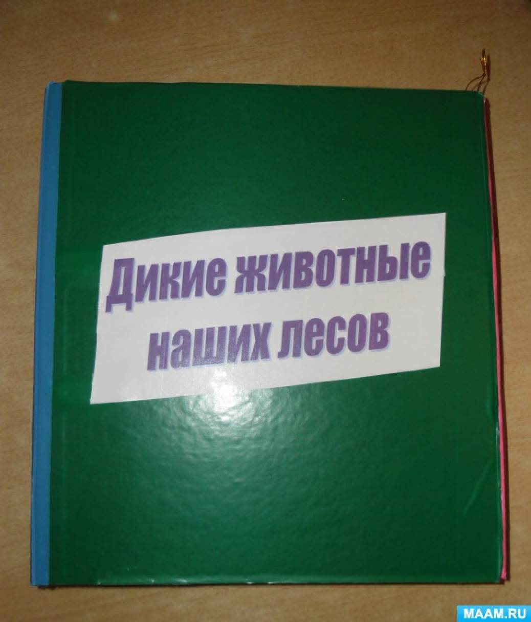 Лэпбук «Дикие животные наших лесов» Фото Лэпбук «Дикие животные наших лесов»