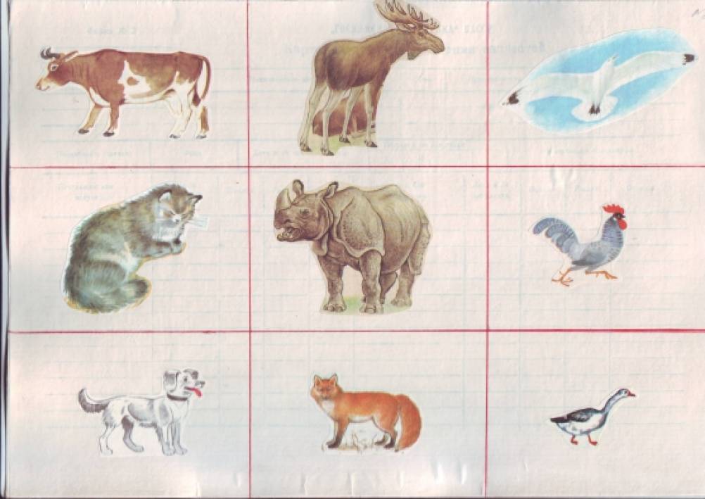 игра отвечай быстро