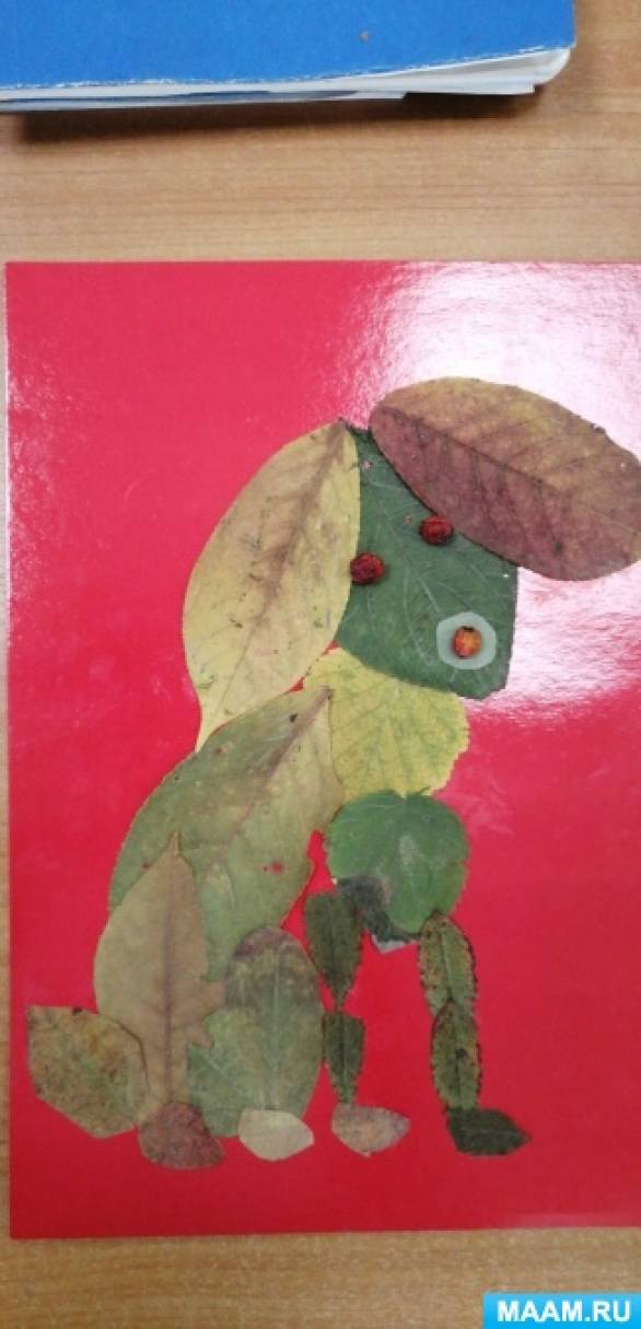 Фотоотчет с детьми что нам осень принесла. Смотреть фото Фотоотчет с детьми что нам осень принесла. Смотреть картинку Фотоотчет с детьми что нам осень принесла. Картинка про Фотоотчет с детьми что нам осень принесла. Фото Фотоотчет с детьми что нам осень принесла Фотоотчет с детьми что нам осень принесла. Смотреть фото Фотоотчет с детьми что нам осень принесла. Смотреть картинку Фотоотчет с детьми что нам осень принесла. Картинка про Фотоотчет с детьми что нам осень принесла. Фото Фотоотчет с детьми что нам осень принесла