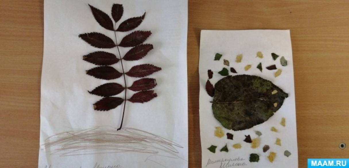 Фотоотчет с детьми что нам осень принесла. Смотреть фото Фотоотчет с детьми что нам осень принесла. Смотреть картинку Фотоотчет с детьми что нам осень принесла. Картинка про Фотоотчет с детьми что нам осень принесла. Фото Фотоотчет с детьми что нам осень принесла Фотоотчет с детьми что нам осень принесла. Смотреть фото Фотоотчет с детьми что нам осень принесла. Смотреть картинку Фотоотчет с детьми что нам осень принесла. Картинка про Фотоотчет с детьми что нам осень принесла. Фото Фотоотчет с детьми что нам осень принесла