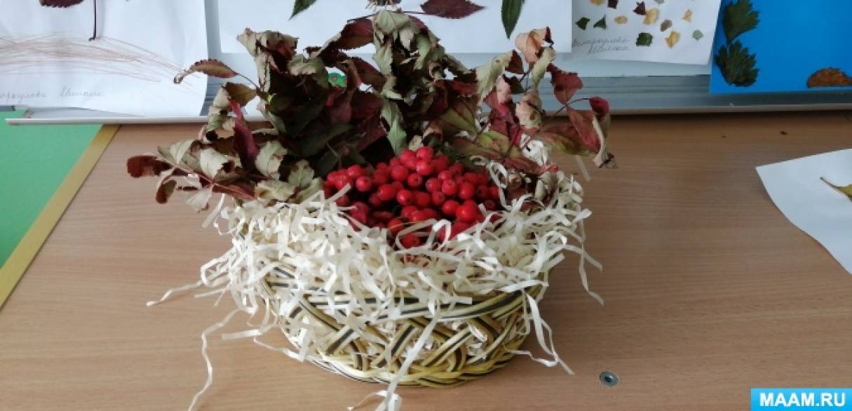 Фотоотчет с детьми что нам осень принесла. Смотреть фото Фотоотчет с детьми что нам осень принесла. Смотреть картинку Фотоотчет с детьми что нам осень принесла. Картинка про Фотоотчет с детьми что нам осень принесла. Фото Фотоотчет с детьми что нам осень принесла Фотоотчет с детьми что нам осень принесла. Смотреть фото Фотоотчет с детьми что нам осень принесла. Смотреть картинку Фотоотчет с детьми что нам осень принесла. Картинка про Фотоотчет с детьми что нам осень принесла. Фото Фотоотчет с детьми что нам осень принесла