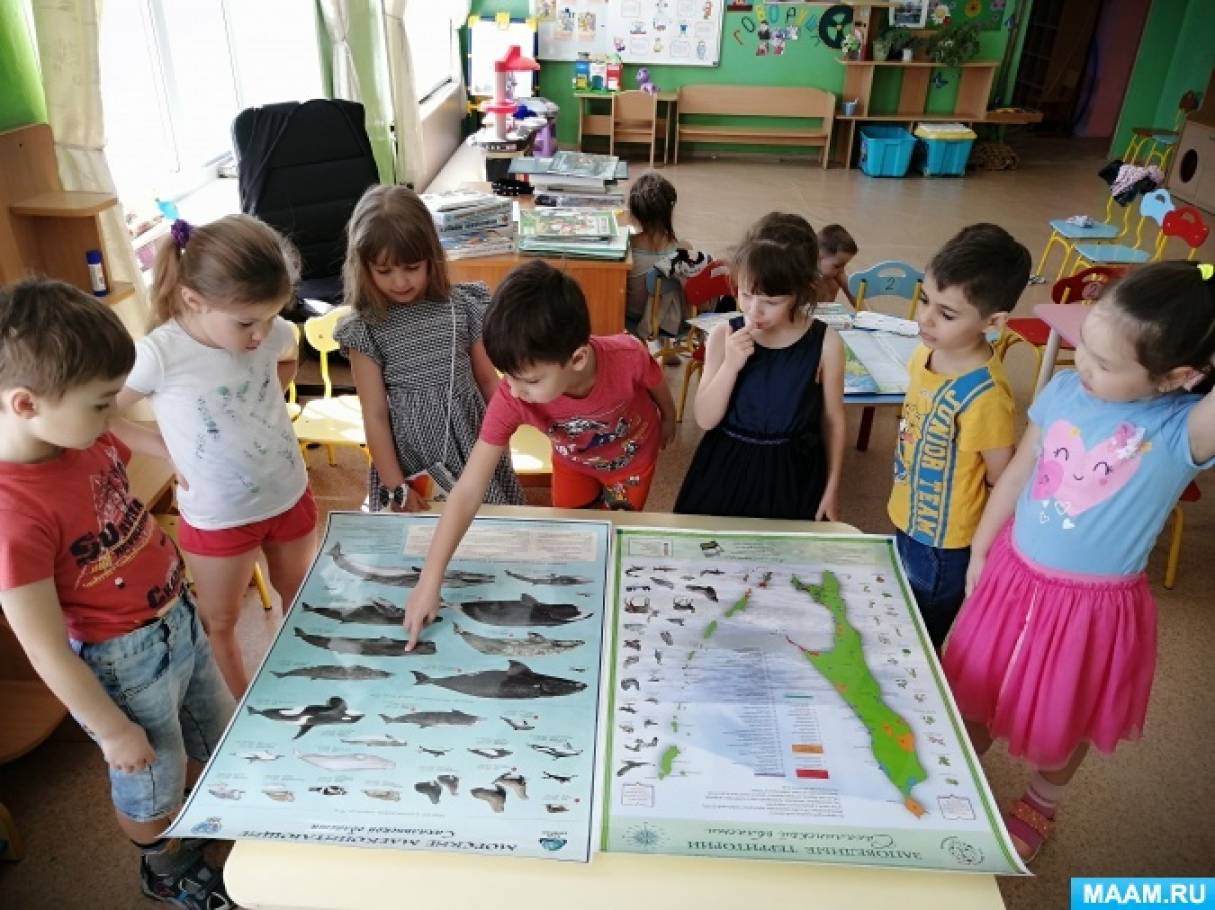 ��������� � ��������� ������������ �������� ��������� ����������� �������