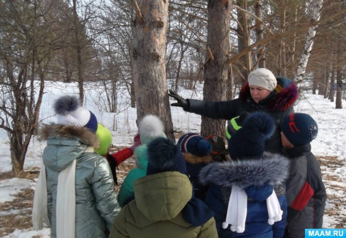 Года в хвойной