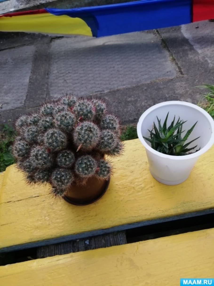 �������� ���������������� ��������������� ������������ ������������� ����������