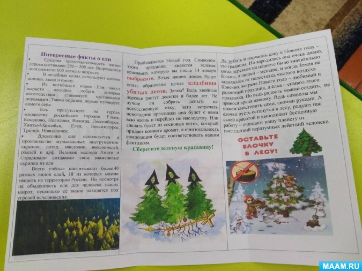 Природоохранная акция сохраним живую елочку. Смотреть фото Природоохранная акция сохраним живую елочку. Смотреть картинку Природоохранная акция сохраним живую елочку. Картинка про Природоохранная акция сохраним живую елочку. Фото Природоохранная акция сохраним живую елочку
