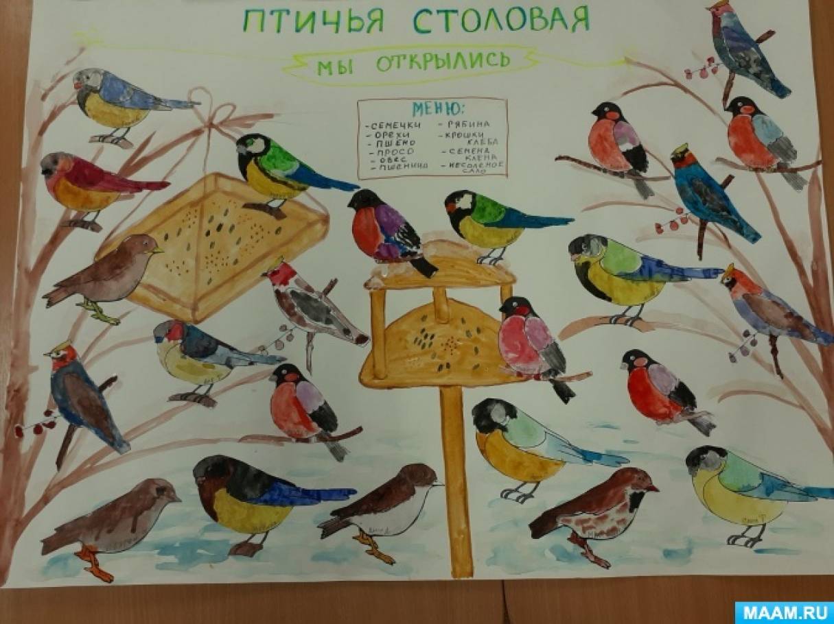 День зимующих птиц в детском саду фото Зимующие птицы. Конспекты занятий - Фотоотчёты - Страница 40. Воспитателям детск