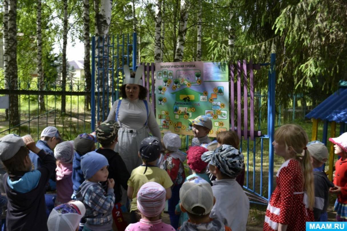 Сценарий открытия экологической тропы в средне-старшей группе Фото Сценарий открытия экологической тропы в средне-старшей группе