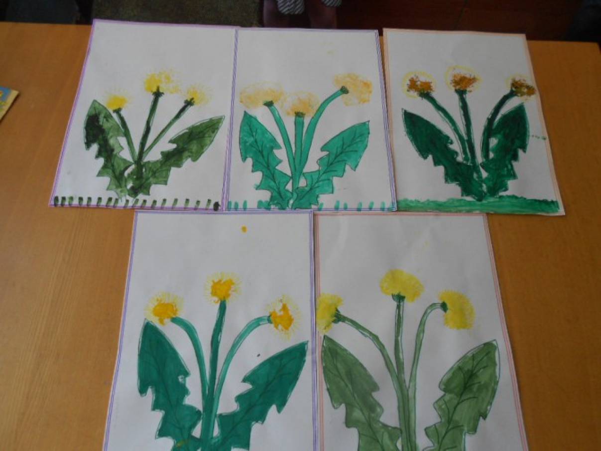 Растения в ясельной группе. Рисование «носит одуванчик желтый сарафанчик» тычкование. Аппликация одуванчик в младшей группе. Одуванчик рисование в младшей группе. Рисование одуванчика в средней группе.