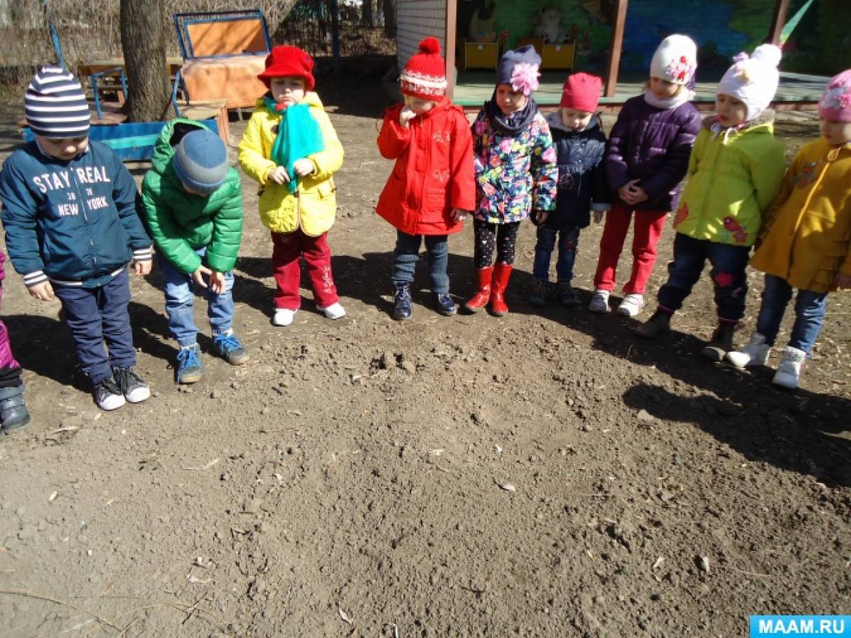 Смотреть фотографию №2 Фото №2 Обратите внимание на поведение птиц