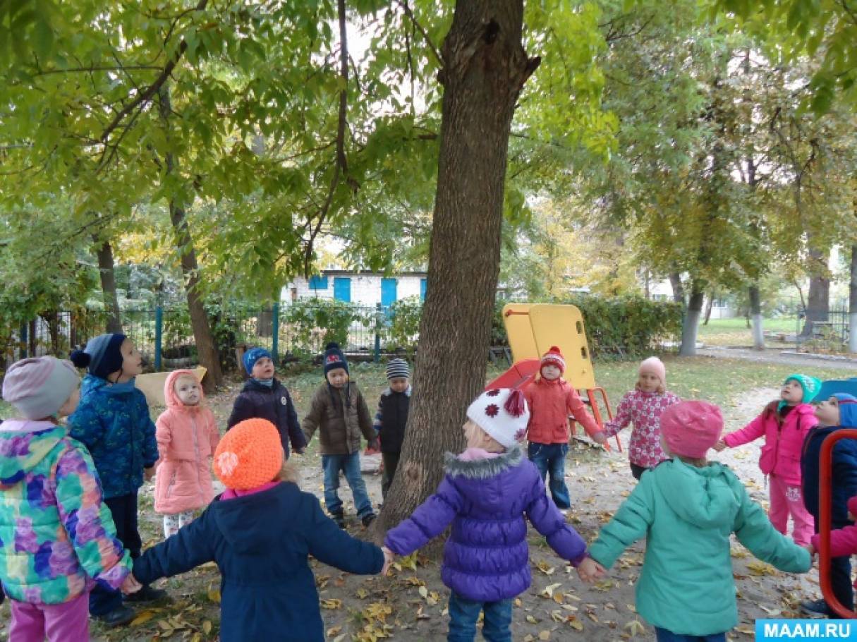 Конспект прогулки «Наблюдение за деревьями, за их стволами» Фото Конспект прогулки «Наблюдение за деревьями, за их стволами»