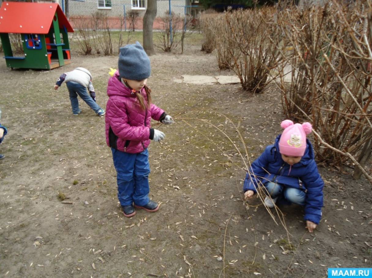 Весенние прогулки в средней группе