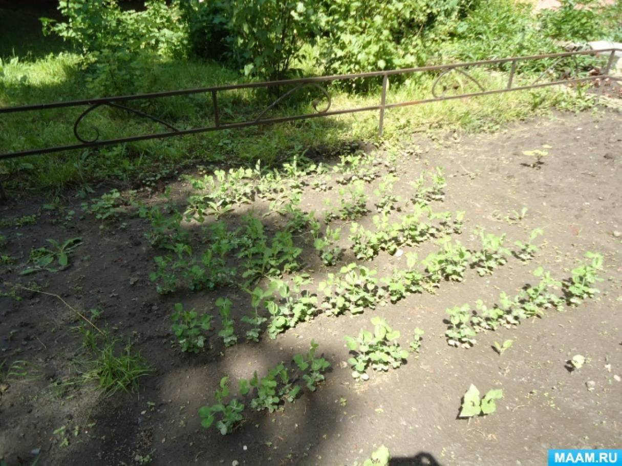 �������� �������� ����������� �� �������� �� ������� ����� ������