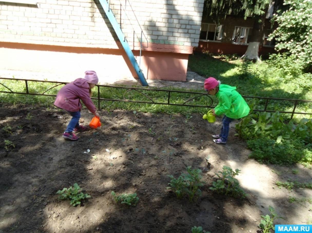 Занятие огород