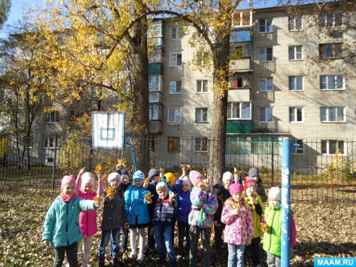 Конспект прогулки «Наблюдение за тополем осенью» Фото Конспект прогулки «Наблюдение за тополем осенью»