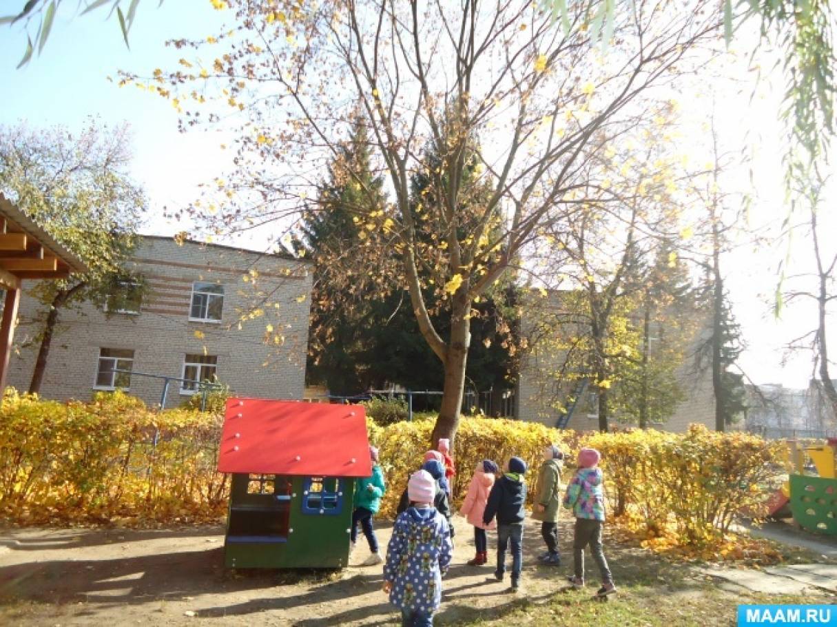 Конспект прогулки «Наблюдение за приметами осени» Фото Конспект прогулки «Наблюдение за приметами осени»
