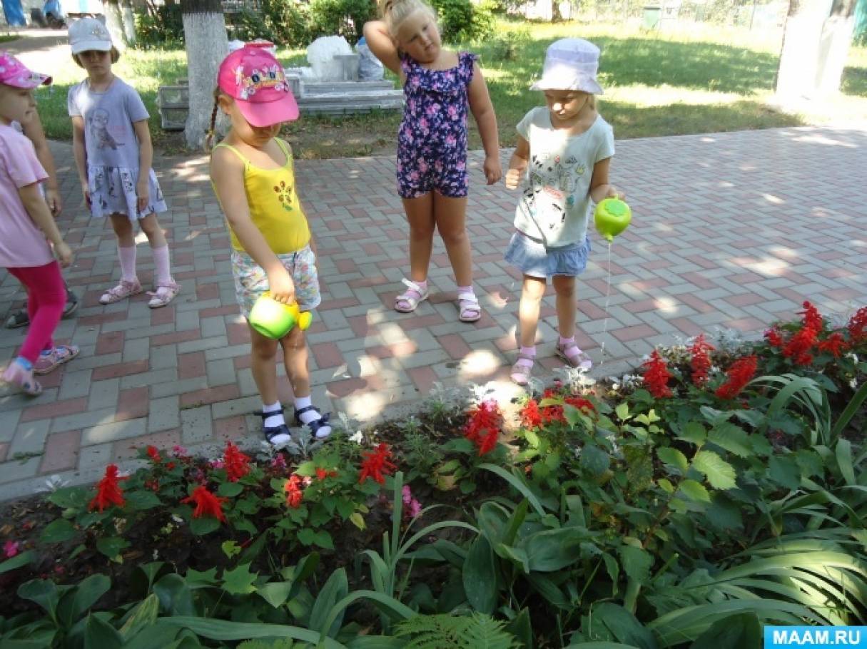 Как поливать комнатные растения: правила полива
