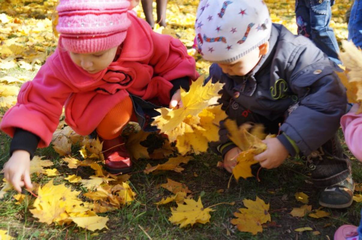 Собрать осенние листья. Дошкольники на прогулке. Прогулка в детском саду осень. Наблюдение с детьми на природе осенью. Прогулка в детском саду осенью.