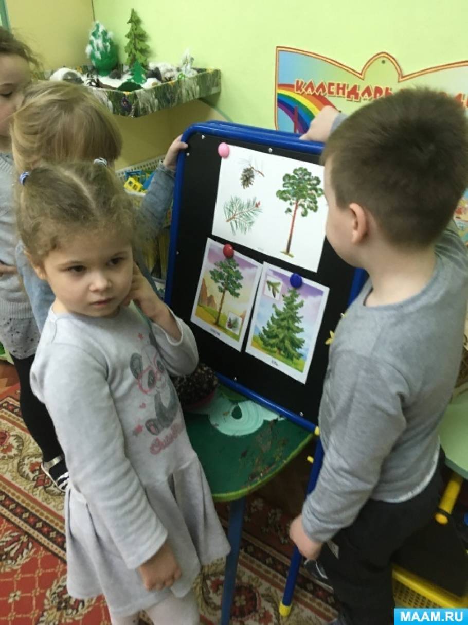 Конспект акции «Сохраните елочку в лесу!» Фото Конспект акции «Сохраните елочку в лесу!»