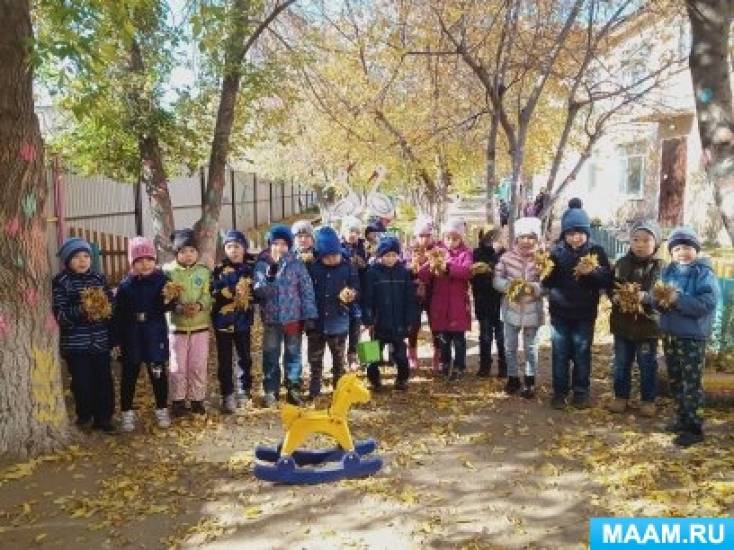 Конспект открытого занятия «Осенние хлопоты» Фото Конспект открытого занятия «Осенние хлопоты»