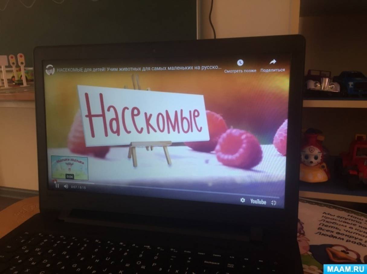 Беседа что дети знают о насекомых. detsad 1991771 1566471447. Беседа что дети знают о насекомых фото. Беседа что дети знают о насекомых-detsad 1991771 1566471447. картинка Беседа что дети знают о насекомых. картинка detsad 1991771 1566471447.
