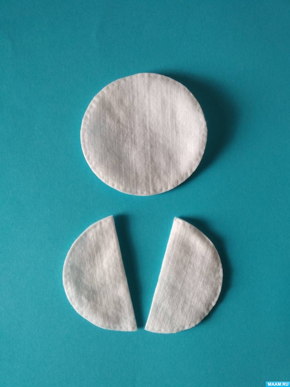 Мастер-класс по изготовлению поделки из ватных дисков «Полярная сова ...