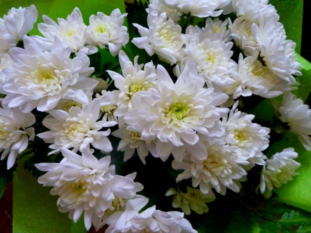 Букет из конфет своими руками: мастер-классы с фото