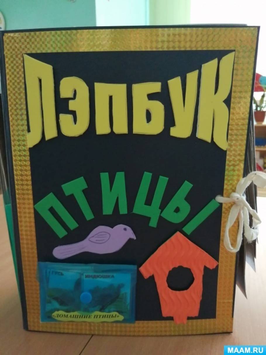 Лэпбук «Птицы». Дидактические и сенсорные игры. Наглядный материал для ...