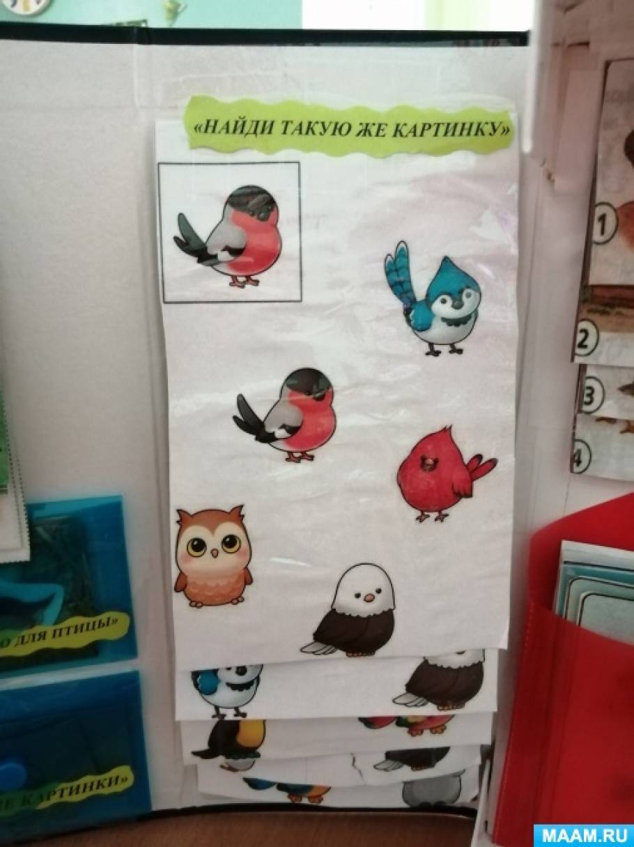 Лэпбук «Птицы». Дидактические и сенсорные игры. Наглядный материал для ...