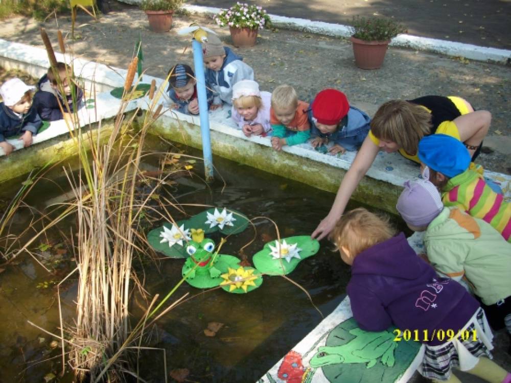 Детский сад болотное. Прудик в саду для детей. Пруд в детском саду на участке. Пруд экологическая тропа в детском саду. Водоем в ДОУ.