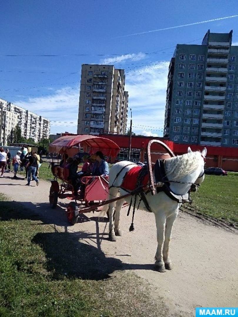 кто что делает домашние животные. Смотреть фото кто что делает домашние животные. Смотреть картинку кто что делает домашние животные. Картинка про кто что делает домашние животные. Фото кто что делает домашние животные