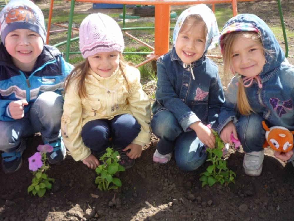 акция подари цветок детскому саду. Смотреть фото акция подари цветок детскому саду. Смотреть картинку акция подари цветок детскому саду. Картинка про акция подари цветок детскому саду. Фото акция подари цветок детскому саду акция подари цветок детскому саду. Смотреть фото акция подари цветок детскому саду. Смотреть картинку акция подари цветок детскому саду. Картинка про акция подари цветок детскому саду. Фото акция подари цветок детскому саду