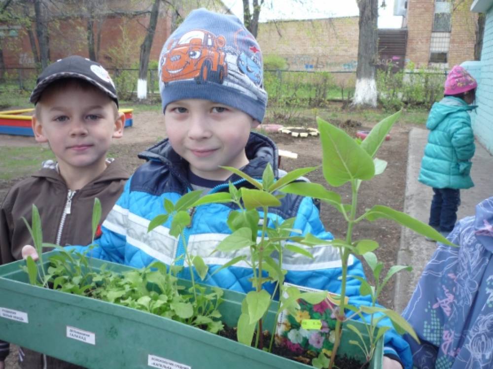 акция подари цветок детскому саду. Смотреть фото акция подари цветок детскому саду. Смотреть картинку акция подари цветок детскому саду. Картинка про акция подари цветок детскому саду. Фото акция подари цветок детскому саду акция подари цветок детскому саду. Смотреть фото акция подари цветок детскому саду. Смотреть картинку акция подари цветок детскому саду. Картинка про акция подари цветок детскому саду. Фото акция подари цветок детскому саду