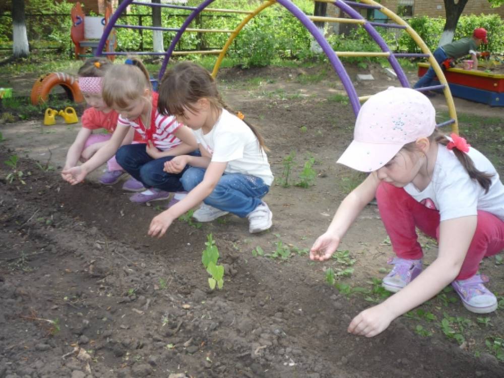 акция подари цветок детскому саду. Смотреть фото акция подари цветок детскому саду. Смотреть картинку акция подари цветок детскому саду. Картинка про акция подари цветок детскому саду. Фото акция подари цветок детскому саду акция подари цветок детскому саду. Смотреть фото акция подари цветок детскому саду. Смотреть картинку акция подари цветок детскому саду. Картинка про акция подари цветок детскому саду. Фото акция подари цветок детскому саду