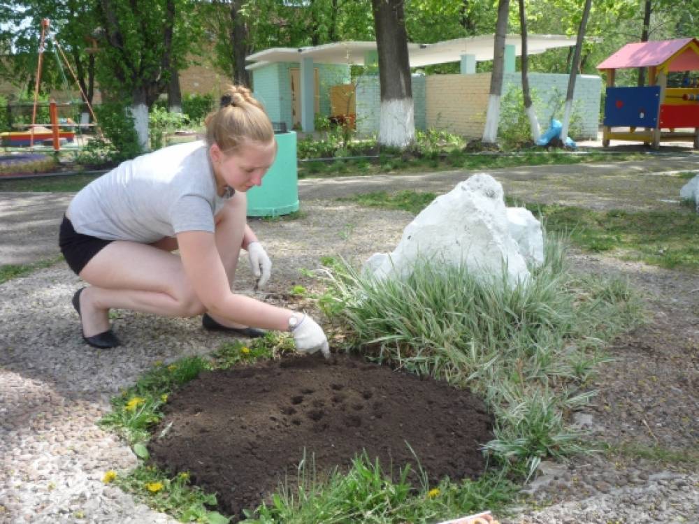 акция подари цветок детскому саду. Смотреть фото акция подари цветок детскому саду. Смотреть картинку акция подари цветок детскому саду. Картинка про акция подари цветок детскому саду. Фото акция подари цветок детскому саду акция подари цветок детскому саду. Смотреть фото акция подари цветок детскому саду. Смотреть картинку акция подари цветок детскому саду. Картинка про акция подари цветок детскому саду. Фото акция подари цветок детскому саду